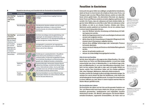 Produktbild: Gesteine einfach bestimmen