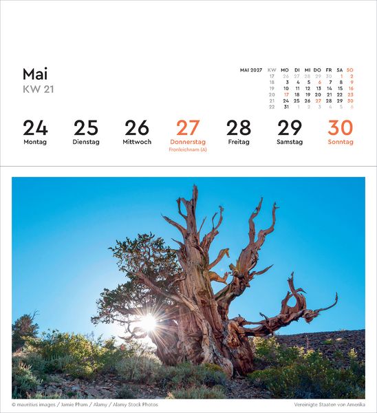 Produktbild: Alte B&auml;ume - KUNTH Postkartenkalender 2027