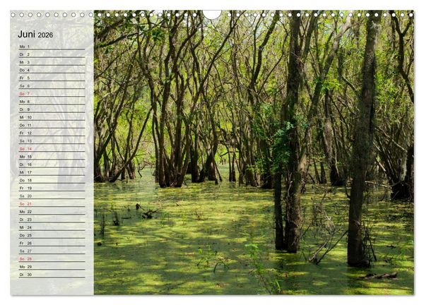 Produktbild: FLORIDA Idyllischer Sonnenscheinstaat (Wandkalender 2026 DIN A3 quer), CALVENDO Monatskalender