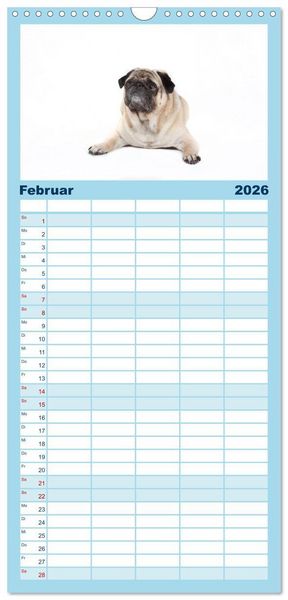 Produktbild: Familienplaner 2026 - Mops - unwiderstehlich und charmant mit 5 Spalten (Wandkalender, 21 x 45 cm) CALVENDO