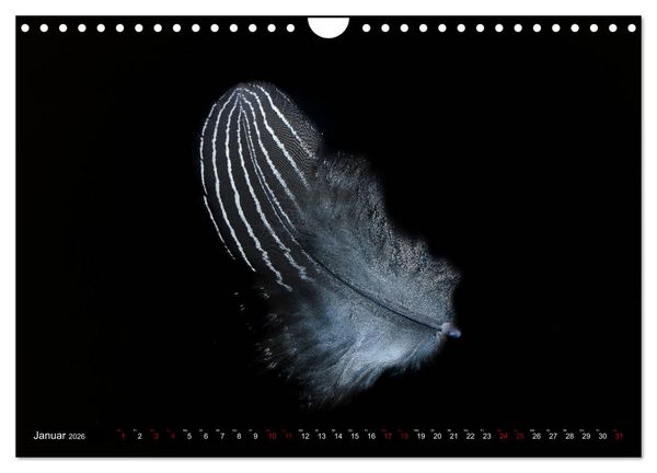 Produktbild: Federleichte Momente (Wandkalender 2026 DIN A4 quer), CALVENDO Monatskalender