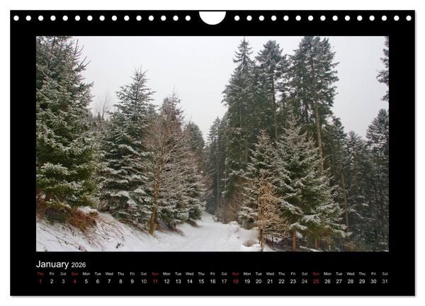 Produktbild: The Black Forest - UK Version (Wall Calendar 2026 DIN A4 landscape), CALVENDO 12 Month Wall Calendar