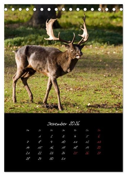 Produktbild: Tiere (Tischkalender 2026 DIN A5 hoch), CALVENDO Monatskalender