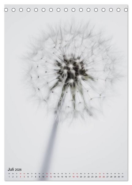 Produktbild: Pure Flowers (Tischkalender 2026 DIN A5 hoch), CALVENDO Monatskalender