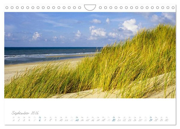 Produktbild: Am Meer (Wandkalender 2026 DIN A4 quer), CALVENDO Monatskalender