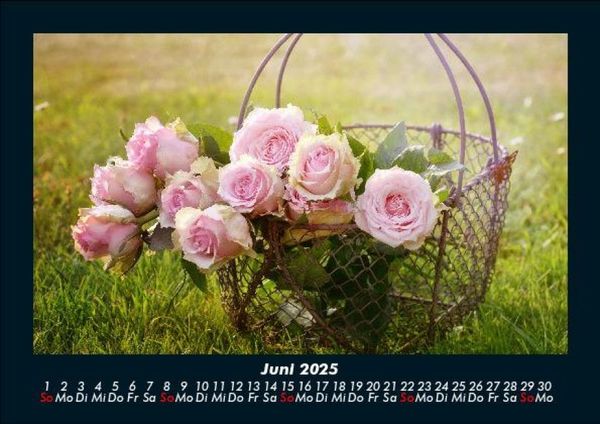 Produktbild: Rosentraum 2025 Fotokalender DIN A5