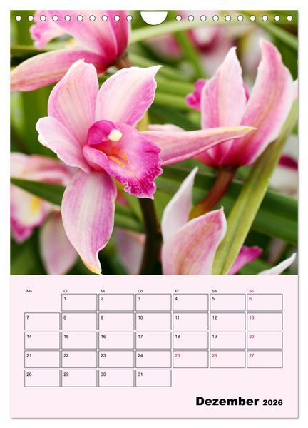 Produktbild: Orchideenliebe (Wandkalender 2026 DIN A4 hoch), CALVENDO Monatskalender