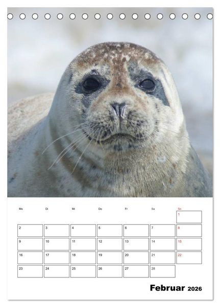 Produktbild: Liebenswerte Robben (Tischkalender 2026 DIN A5 hoch), CALVENDO Monatskalender