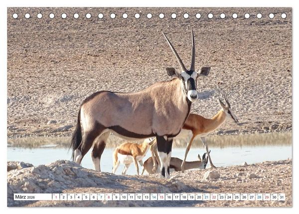 Produktbild: Namibia, Faszination W&uuml;ste und Tierwelt (Tischkalender 2026 DIN A5 quer), CALVENDO Monatskalender