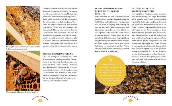 Produktbild: Imkern mit Herz
