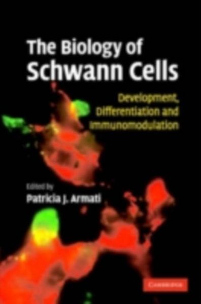 Produktbild: Biology of Schwann Cells