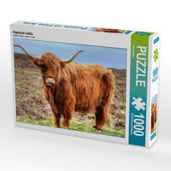 CALVENDO Puzzle Highland Cattle | 1000 Teile Lege-Größe 64x48cm Foto-Puzzle für glückliche Stunden