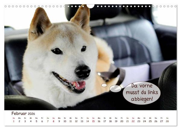 Produktbild: Frei Schnauze 2026. Was Hunde am liebsten sagen w&uuml;rden (Wandkalender 2026 DIN A3 quer), CALVENDO Monatskalender