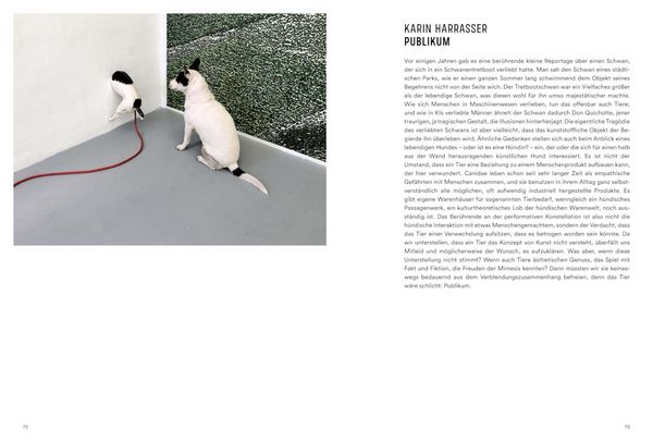 Produktbild: Rolf Walz. Blind Spot Bias