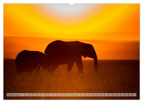 Produktbild: Emotionale Momente: Afrikas Big Five (Wandkalender 2026 DIN A2 quer), CALVENDO Monatskalender