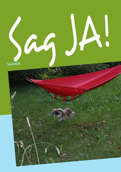 Produktbild: Sag Ja!