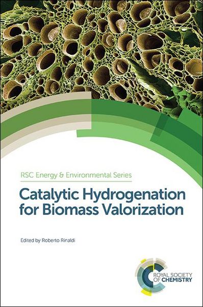 Produktbild: Catalytic Hydrogenation for Biomass Valorization