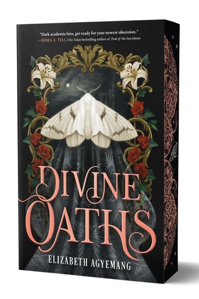 Produktbild: Divine Oaths (Special Limited Edition)