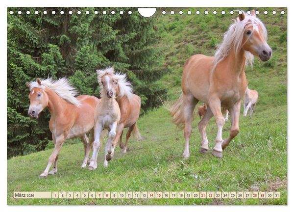 Produktbild: Tiroler Langm&auml;hnen (Wandkalender 2026 DIN A4 quer), CALVENDO Monatskalender