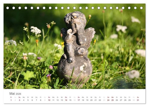 Produktbild: Engel in Haus und Garten (Tischkalender 2026 DIN A5 quer), CALVENDO Monatskalender