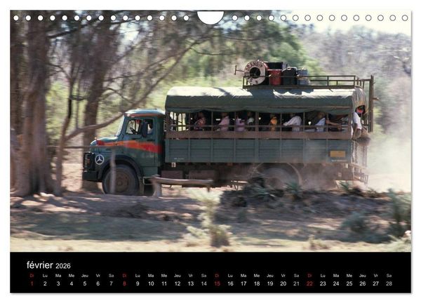 Produktbild: Madagascar L'&icirc;le aux merveilles (Calendrier mural 2026 DIN A4 vertical), CALVENDO calendrier mensuel
