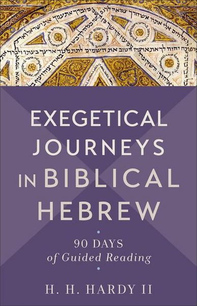 Produktbild: Exegetical Journeys in Biblical Hebrew