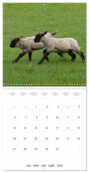 Produktbild: Stratford upon Avon - Shakespeare's Hometown (Wall Calendar 2026 12 &times; 12 Inch) CALVENDO 12 Month Wall Calendar