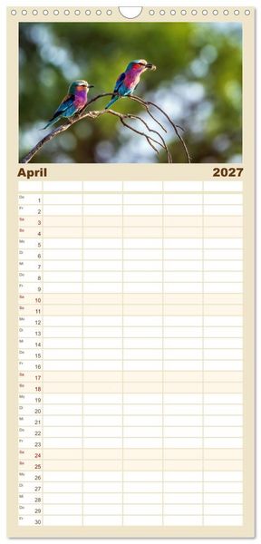 Produktbild: Familienplaner 2027 - Namibias faszinierende Tierwelt mit 5 Spalten (Wandkalender, 21 x 45 cm) CALVENDO