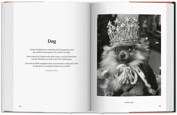 Produktbild: The Dog in Photography 1839&ndash;Today