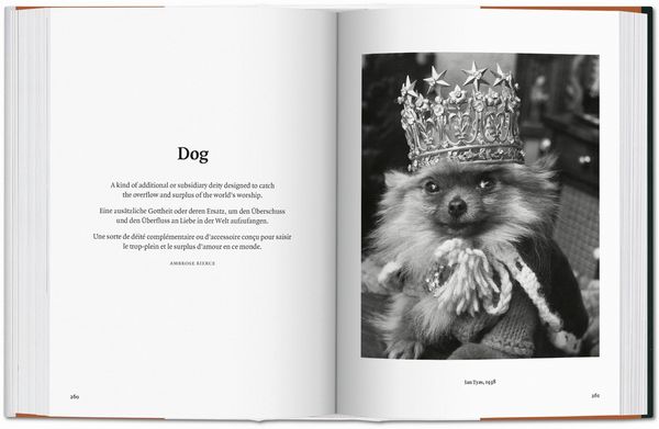 Produktbild: The Dog in Photography 1839&ndash;Today