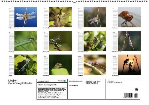 Produktbild: Libellen Geburtstagskalender (Wandkalender immerw&auml;hrend DIN A2 quer)