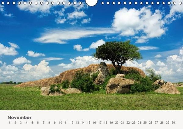 Produktbild: Faszination Ostafrika - Tierwelt und Natur aus Kenia und Tansania (Wandkalender immerw&auml;hrend DIN A4 quer)