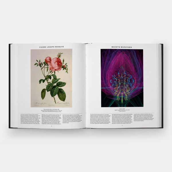 Produktbild: Plant