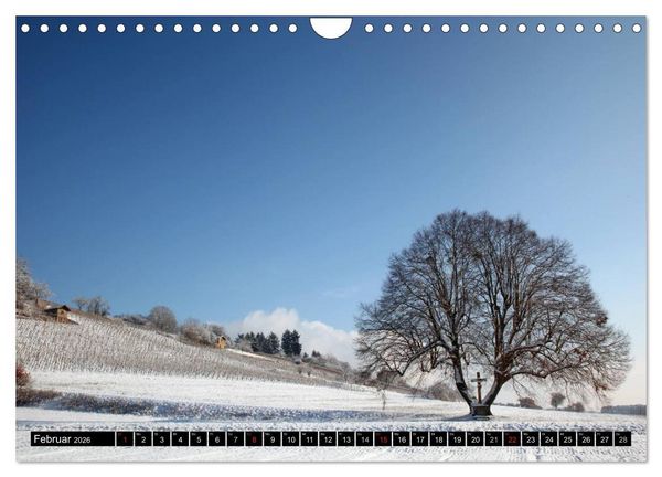 Produktbild: Impressionen aus Franken (Wandkalender 2026 DIN A4 quer), CALVENDO Monatskalender