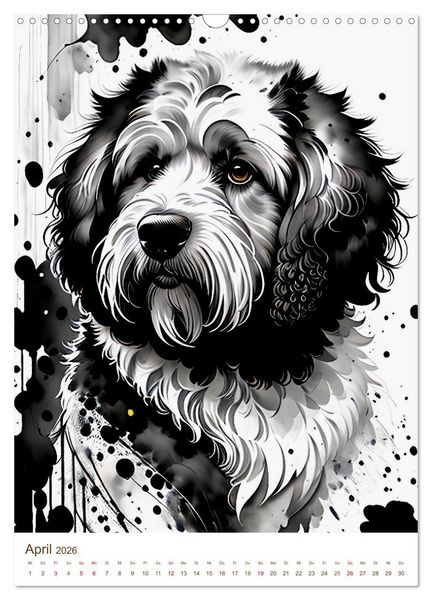 Produktbild: Der Labradoodle (Wandkalender 2026 DIN A3 hoch), CALVENDO Monatskalender