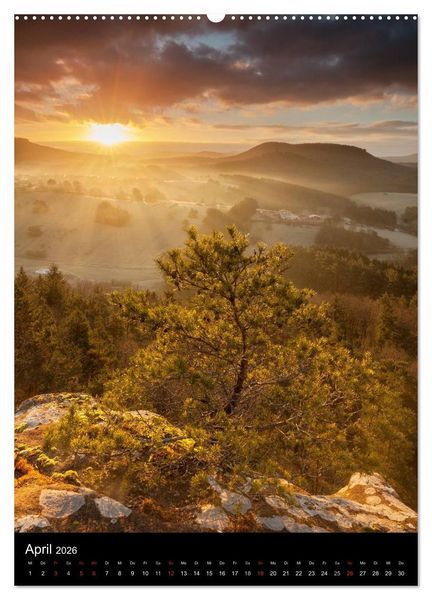 Produktbild: NATURWUNDER PF&Auml;LZERWALD (Wandkalender 2026 DIN A2 hoch), CALVENDO Monatskalender