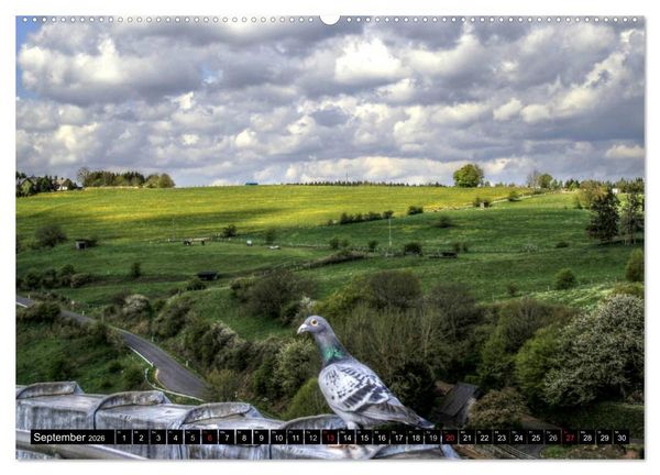 Produktbild: Faszination Eifel (hochwertiger Premium Wandkalender 2026 DIN A2 quer), Kunstdruck in Hochglanz