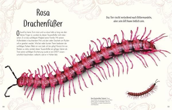 Produktbild: Wundervolle Welt der Insekten und Spinnentiere