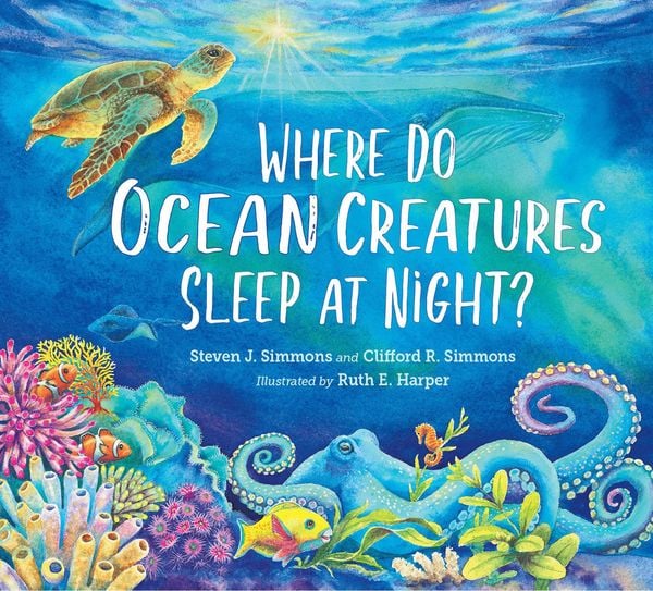 Produktbild: Where Do Ocean Creatures Sleep at Night?