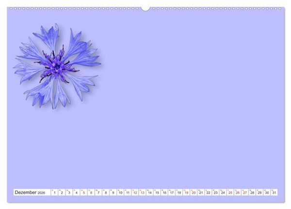 Produktbild: DIY POESIE - BASTELKALENDER (Wandkalender 2026 DIN A2 quer), CALVENDO Monatskalender