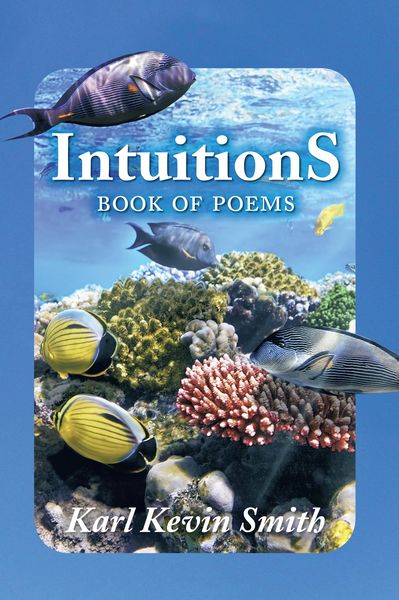 Produktbild: Intuitions