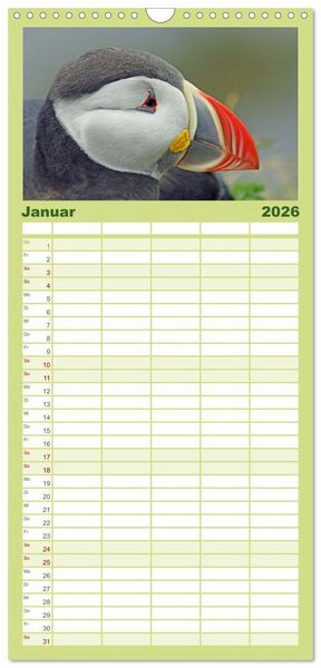 Produktbild: Familienplaner 2026 - Papageitaucher - Clowns der nordischen Vogelwelt mit 5 Spalten (Wandkalender, 21 x 45 cm) CALVENDO