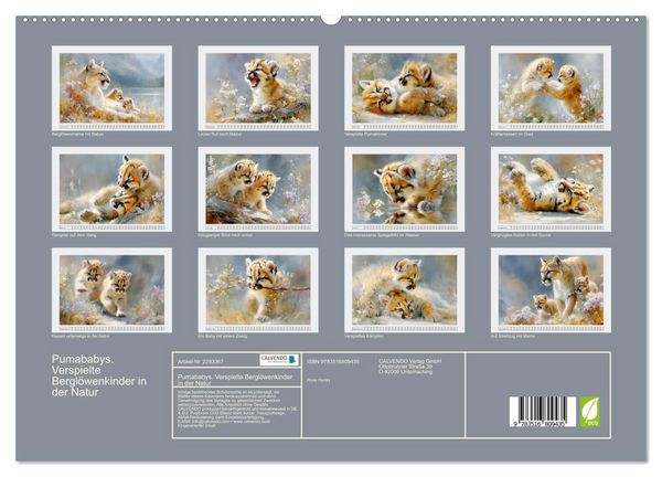 Produktbild: Pumababys. Verspielte Bergl&ouml;wenkinder in der Natur (hochwertiger Premium Wandkalender 2027 DIN A2 quer), Kunstdruck in Hochglanz