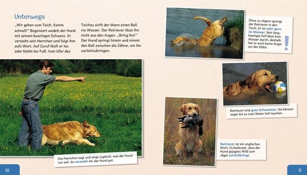 Produktbild: Meine gro&szlig;e Tierbibliothek: Der Hund