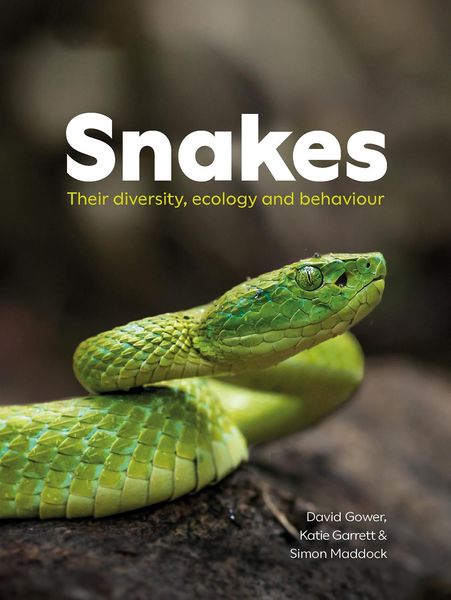 Produktbild: Snakes