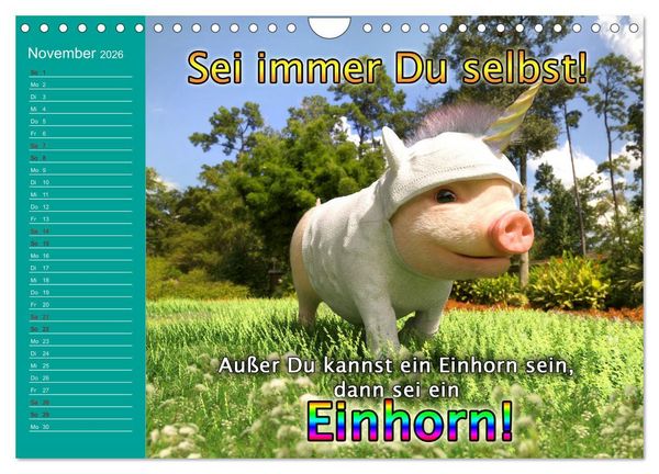 Produktbild: Tierische Toons (Wandkalender 2026 DIN A4 quer), CALVENDO Monatskalender