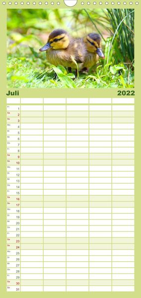 Produktbild: Familienplaner Die lieben Kleinen ... Tierkinder einfach zum Knuddeln (Wandkalender 2022 , 21 cm x 45 cm, hoch)