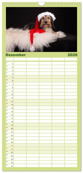 Produktbild: Familienplaner 2026 - DACKEL DACHSHUND TECKEL 2026 mit 5 Spalten (Wandkalender, 21 x 45 cm) CALVENDO