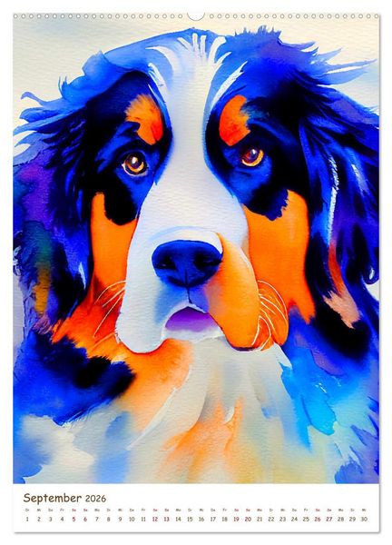 Produktbild: Berner Sennenhund 2026. Sch&ouml;ne Aquarelle der schweizer Hunderasse (hochwertiger Premium Wandkalender 2026 DIN A2 hoch), Kunstdruck in Hochglanz