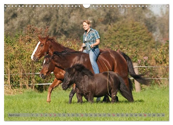 Produktbild: Natural Horsemanship - Partnerschaft mit Pferden (Wandkalender 2026 DIN A3 quer), CALVENDO Monatskalender